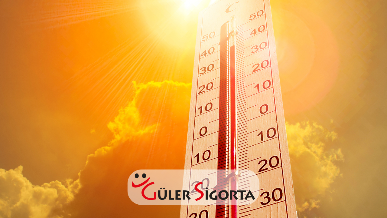 Bunları Yaz Sıcağında Arabada Bırakmayın!