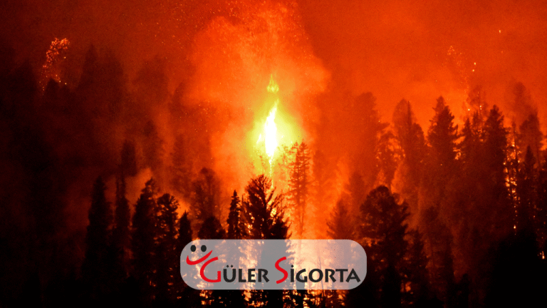 Orman Yangınlarına Karşı Alınabilecek Bireysel Önlemler ve Bilinçlenme