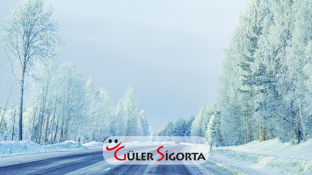 Karlı ve Buzlu Yollarda Güvenli Sürüş