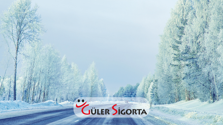 Karlı ve Buzlu Yollarda Güvenli Sürüş